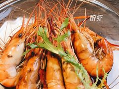 -青叶202都市餐厅(迪诺水镇店)