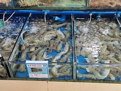 -三亚新鸿港水果一级批发市场