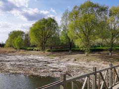 -蒲河岛湿地公园