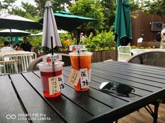 -厦门邮轮中心厦鼓码头(轮渡站)