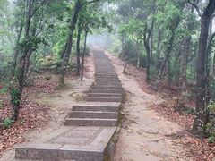 -梧桐山风景名胜区