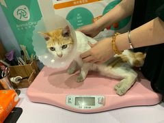 -拜鲁耶动物诊疗中心·宠家动物医院