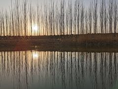 -大兴滨河森林公园