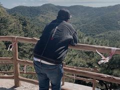 -金龙寺国家森林公园