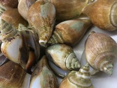 象鼻螺-量贩海鲜餐厅