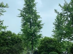 -贡湖湾湿地公园