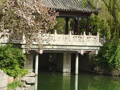 -济南大明湖景区
