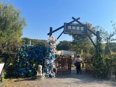 -白马涧龙池景区