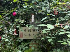 -吴作人艺术馆