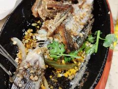 -老杨太太烧烤(文化广场店)