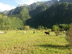 -黄龙山原始森林景区