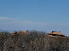 -北京紫金宫饭店