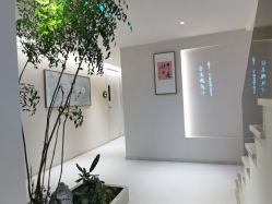 -普洛蒂亚·科技美肤中心