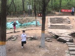 -云岗森林公园
