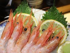 -鸟内会居酒屋(得意潮馆店)