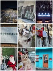 -巍阁高端月子会所