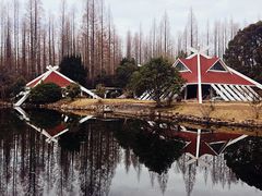 -东平国家森林公园