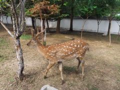 -观唐（国际）度假村温泉