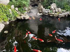 -鲤院·新中式美学·庭院餐厅(夫子庙店)