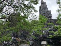 -千岛湖石林