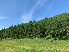 -塞罕坝国家级自然保护区