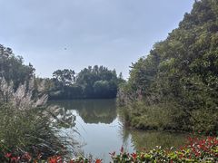 -梁鸿国家湿地公园