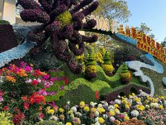 -杭州植物园