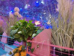 -乐华滋·梦幻西餐厅(临淄茂业店)