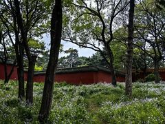 -北陵公园
