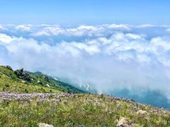 -白草畔自然风景区