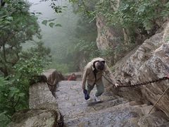 -北京上方山国家森林公园