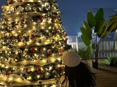 -Hi City·城市之巅