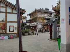 -洋湖国家湿地公园