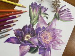 -八哥美术·成人美术画室(总校区)