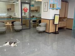 -贝利宠物医院·骨科·眼科·肿瘤转诊中心(南坪诊疗中心)
