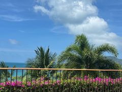 -日落吧·海景咖啡厅·餐酒吧·鸡尾酒·下午茶·乐队表演·浪漫夕阳·三亚文华东方酒店