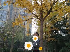 -木塔寺遗址生态公园