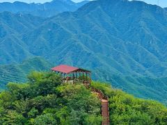 -大岭沟猕猴桃谷风景区