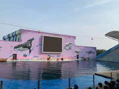 -北戴河圣蓝海洋公园