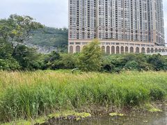 -龙环葡韵住宅式博物馆