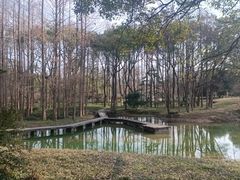 -杭州植物园