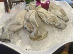 -老牌坊云南鱼豆花火锅(嵩山店)