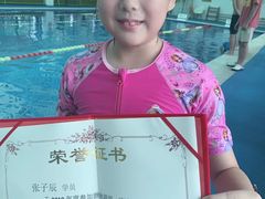 -鲨鱼游泳培训中心