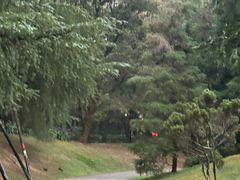 -杭州植物园