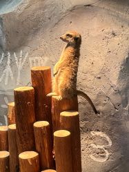 -Zoolung Zoolung动物主题公园(海信广场店)