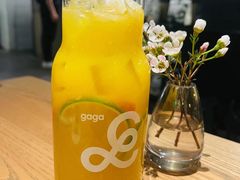 桂花与橙-gaga(深圳南山益田假日广场店)