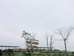 -光明小镇欢乐田园