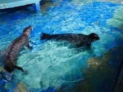 -太平洋海底世界