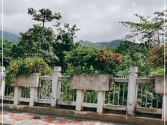 -中国科学院西双版纳热带植物园