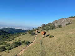 -大姆山草场
